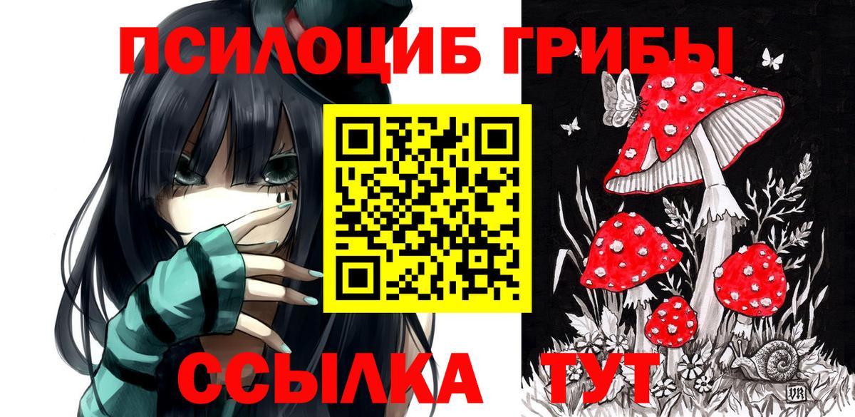 Галлюциногенные грибы GOLDEN TEACHER  Псилоцибиновые грибы Psilocybine cubensis  Вход с VPN  Кулебаки 